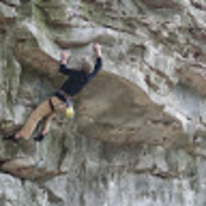 Meet your Posher, Nick